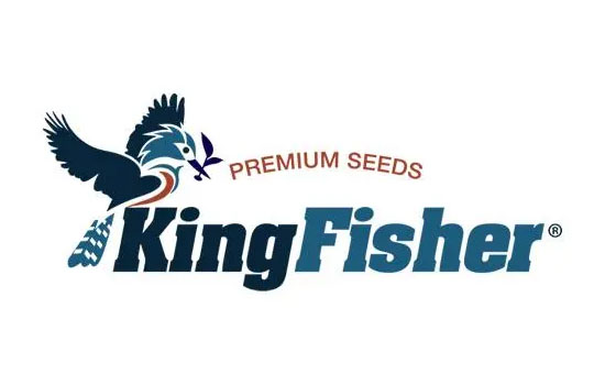 Kingfisher翠丰验厂
